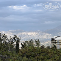 фото из отзыва ID 2739029