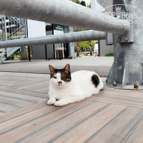 фото из отзыва ID 2739029