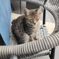 фото из отзыва ID 2739029