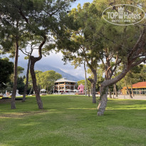 фото из отзыва ID 2739055