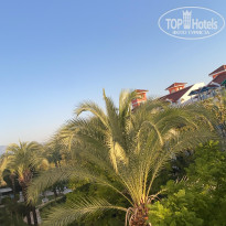 фото из отзыва ID 2738873