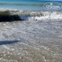 фото из отзыва ID 2739072