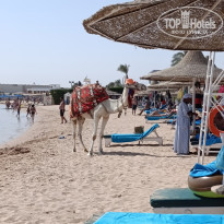 фото из отзыва ID 2738813