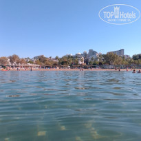 фото из отзыва ID 2737915