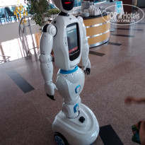 фото из отзыва ID 2737915