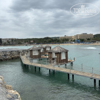 фото из отзыва ID 2738545