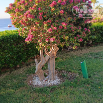 фото из отзыва ID 2739098