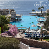 фото из отзыва ID 2739098