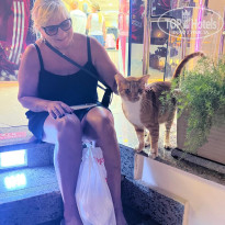 фото из отзыва ID 2739098