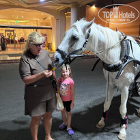 фото из отзыва ID 2739098