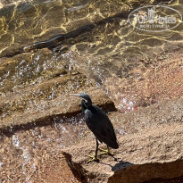 фото из отзыва ID 2739098