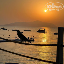 фото из отзыва ID 2739098