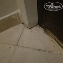 фото из отзыва ID 2739024