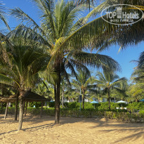 фото из отзыва ID 2739124