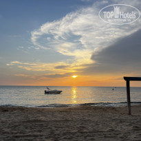 фото из отзыва ID 2739124