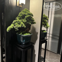 фото из отзыва ID 2739133