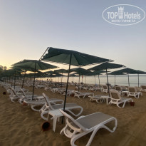 фото из отзыва ID 2739134