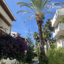 фото из отзыва ID 2739134