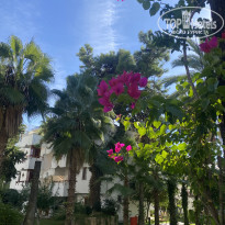 фото из отзыва ID 2739134