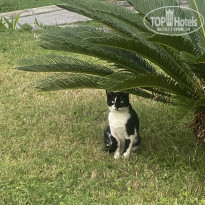 фото из отзыва ID 2739134