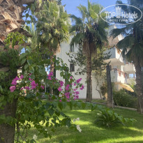 фото из отзыва ID 2739134