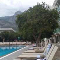 фото из отзыва ID 2739139