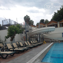 фото из отзыва ID 2739139