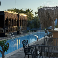 фото из отзыва ID 2739144