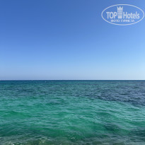 фото из отзыва ID 2739151