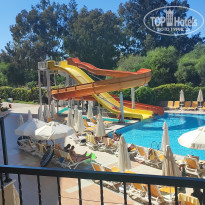 фото из отзыва ID 2739178