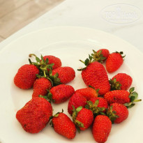 фото из отзыва ID 2739170