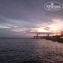 фото из отзыва ID 2739188