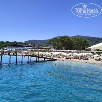 фото из отзыва ID 2739201