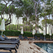 фото из отзыва ID 2739201