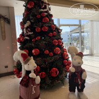 фото из отзыва ID 2739194