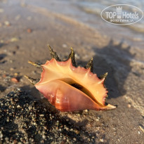 фото из отзыва ID 2739194