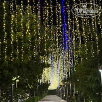 фото из отзыва ID 2739194