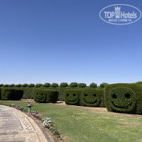 фото из отзыва ID 2739234