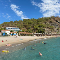 фото из отзыва ID 2739228