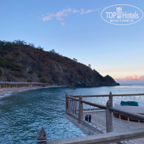 фото из отзыва ID 2739228