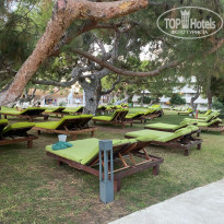 фото из отзыва ID 2739228