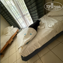 фото из отзыва ID 2739191