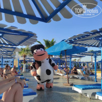 фото из отзыва ID 2739191