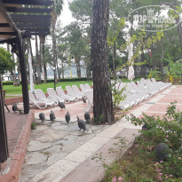 фото из отзыва ID 2739245