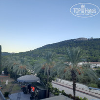 фото из отзыва ID 2739245