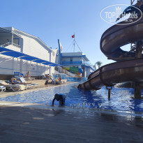 фото из отзыва ID 2739250