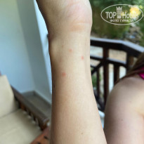 фото из отзыва ID 2739257