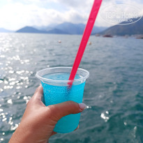 фото из отзыва ID 2739268