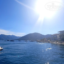 фото из отзыва ID 2739268