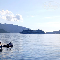 фото из отзыва ID 2739268